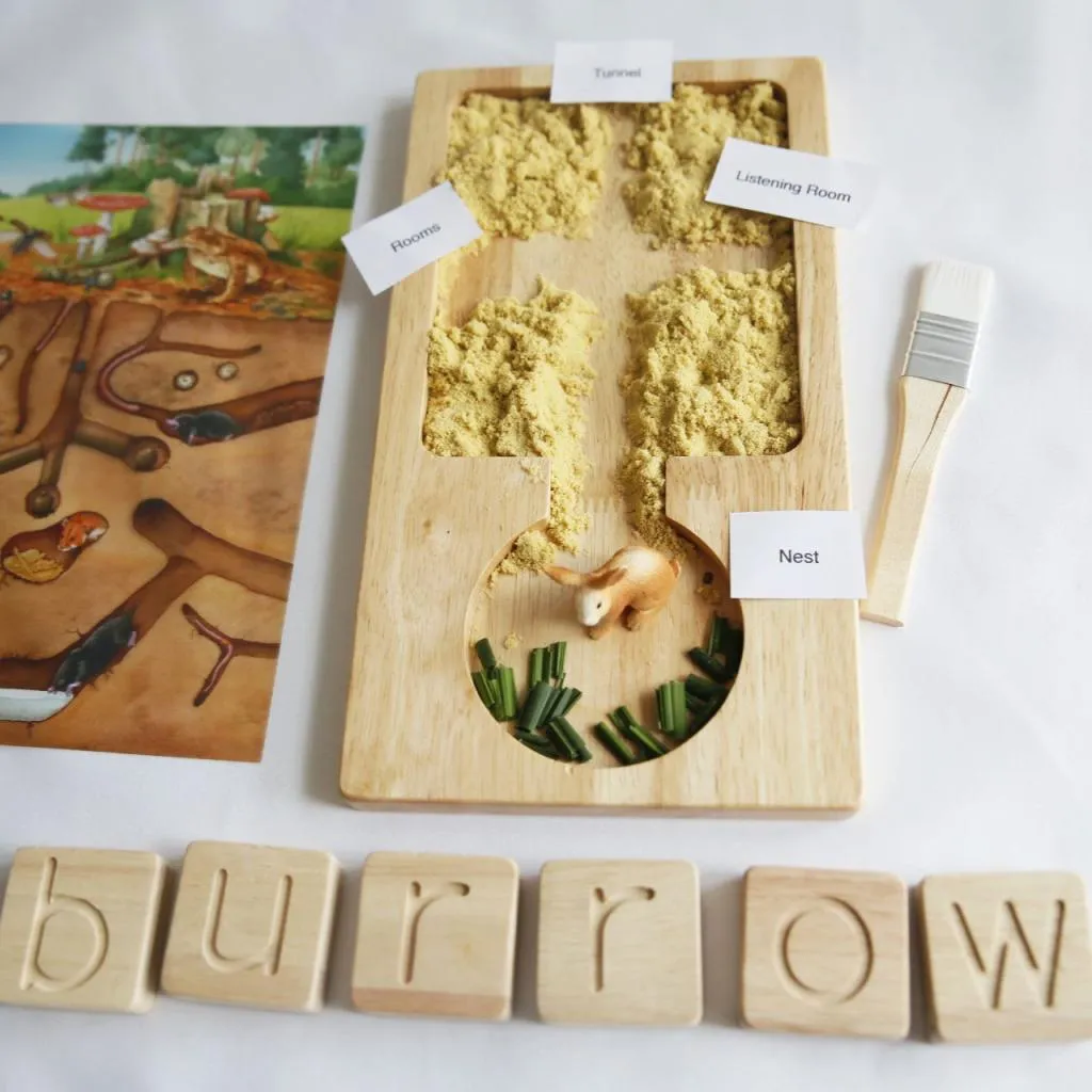 ANATOMY BOARD / MONTESSORI AID SENSORY TRAY