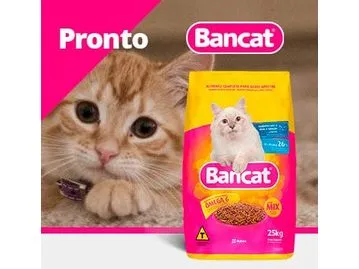 Bancat daily activities adult cats 25kg