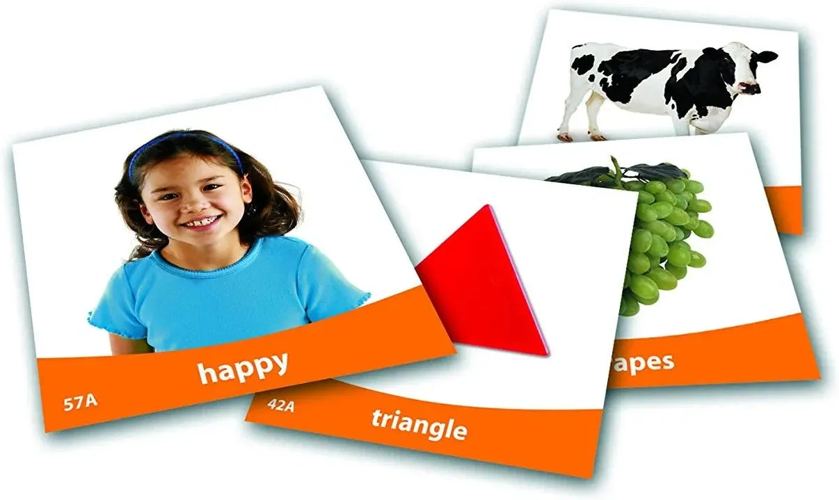 Basic Vocabulary Photo Cards - Flashcards