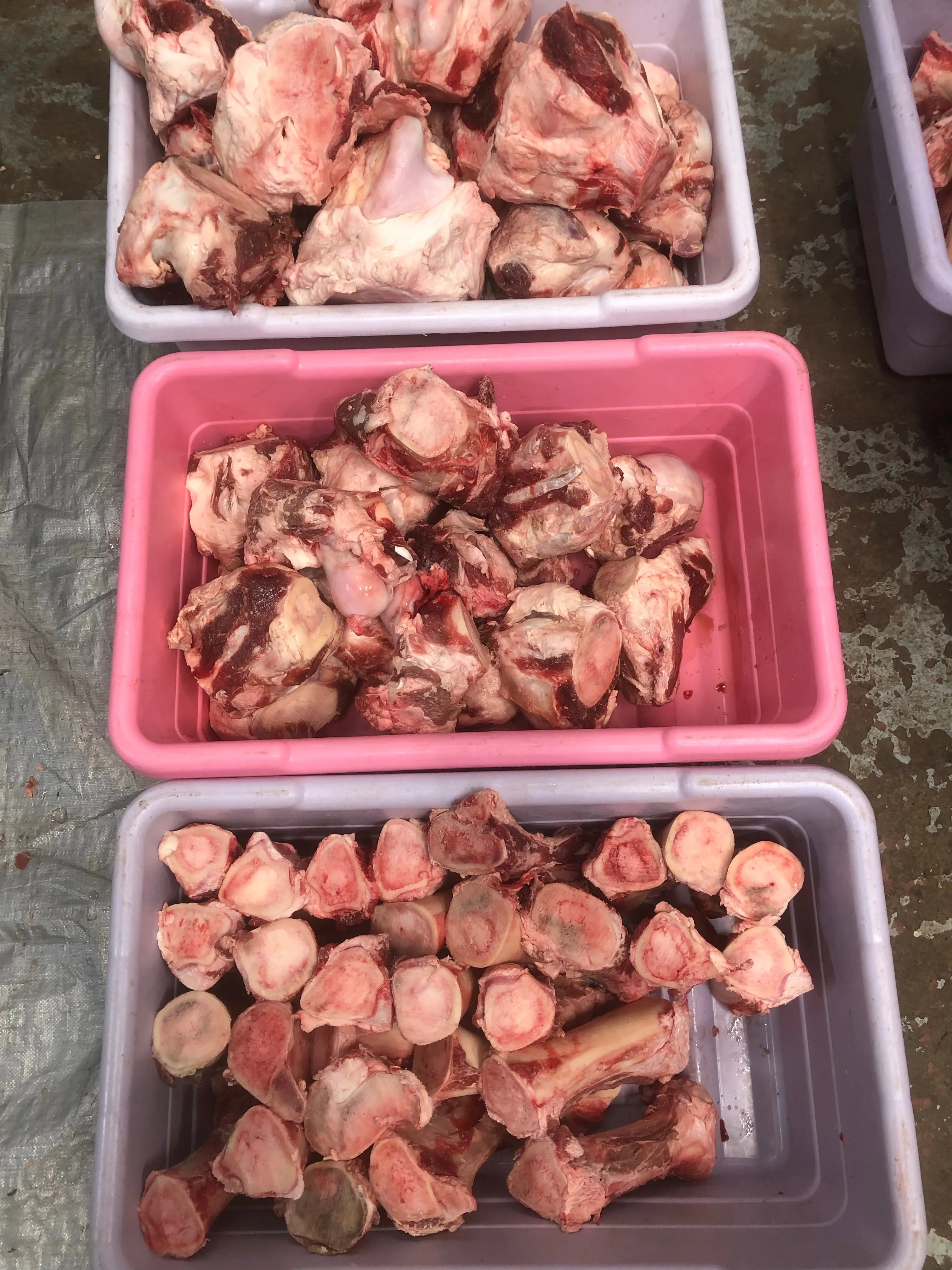 Beef Knuckle Bones **Sold Per Bone** 3 Sizes Available