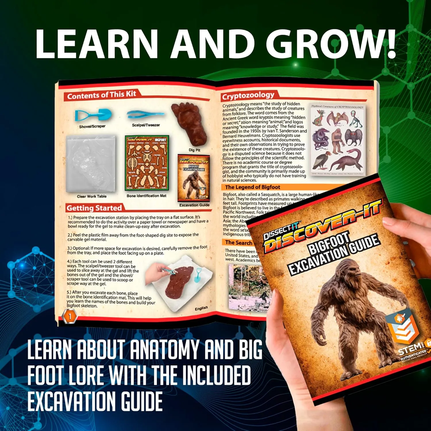 Discover-It Bigfoot Dig