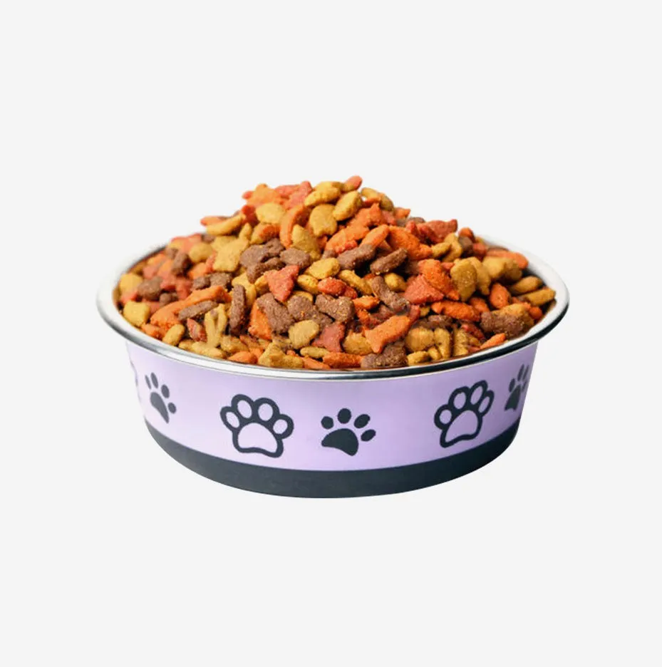 Dry Dog Food