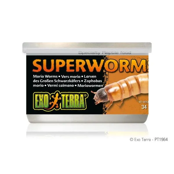 Exo Terra Superworms Canned Specialty Reptile Food