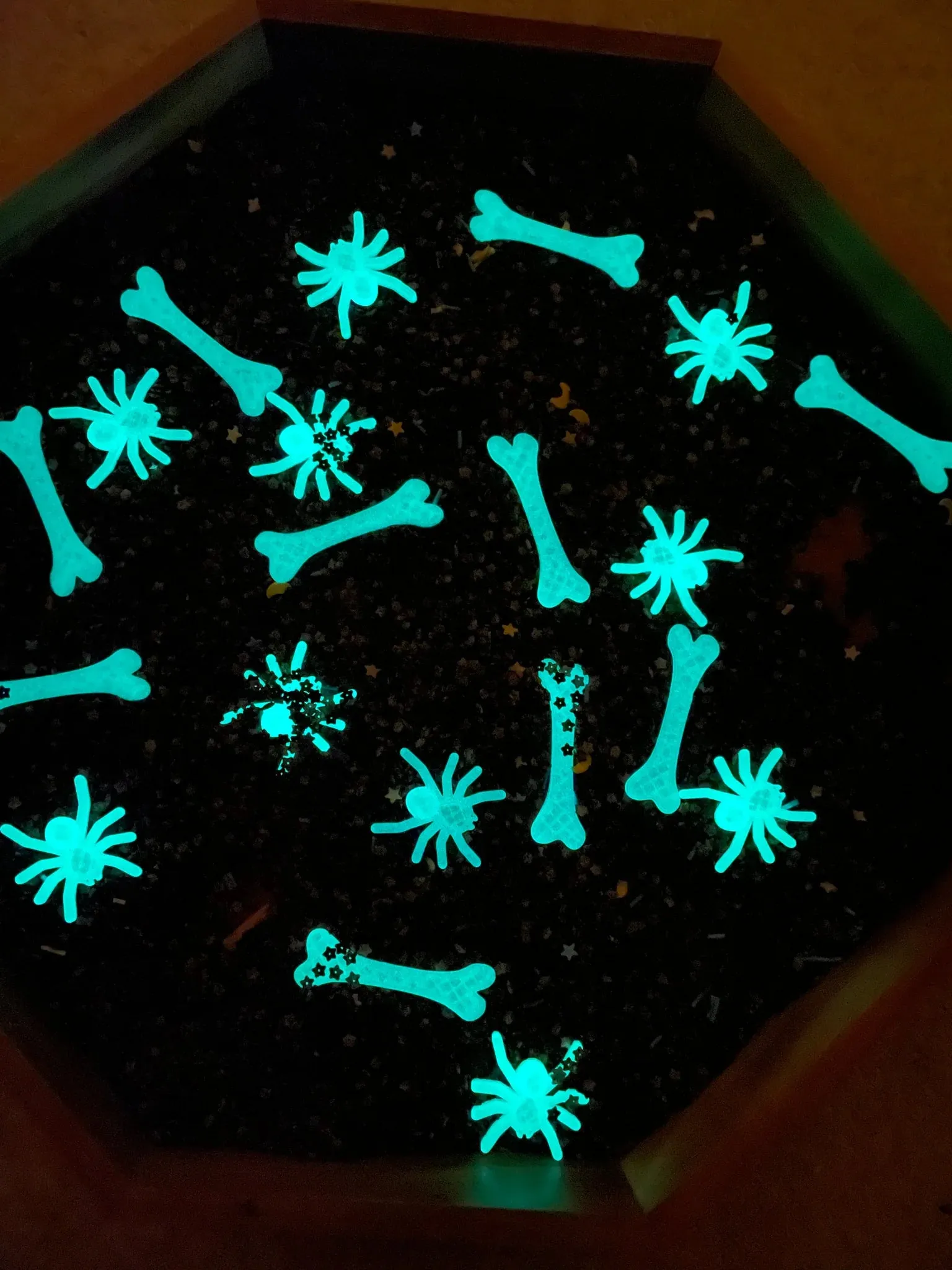 Glow In The Dark Bones