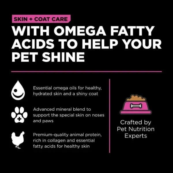 Go! Solutions Skin & Coat Care Chicken Recipe with Grains Dry Cat Food