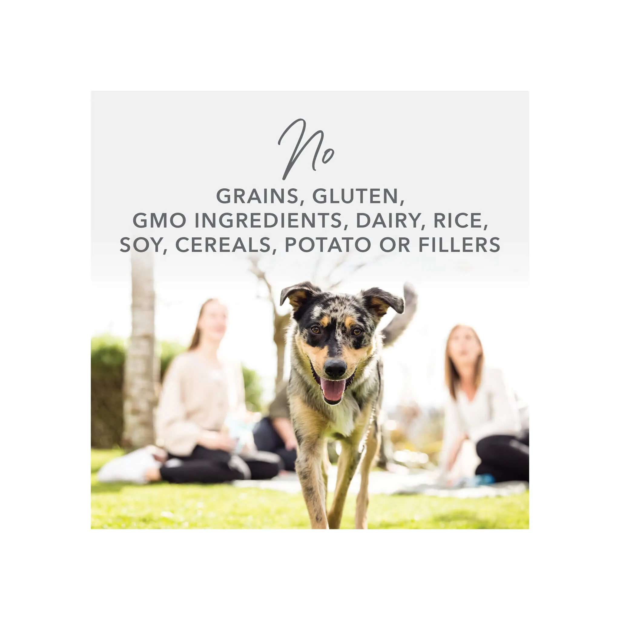 K9 Natural Grain-Free Canned Dog Food