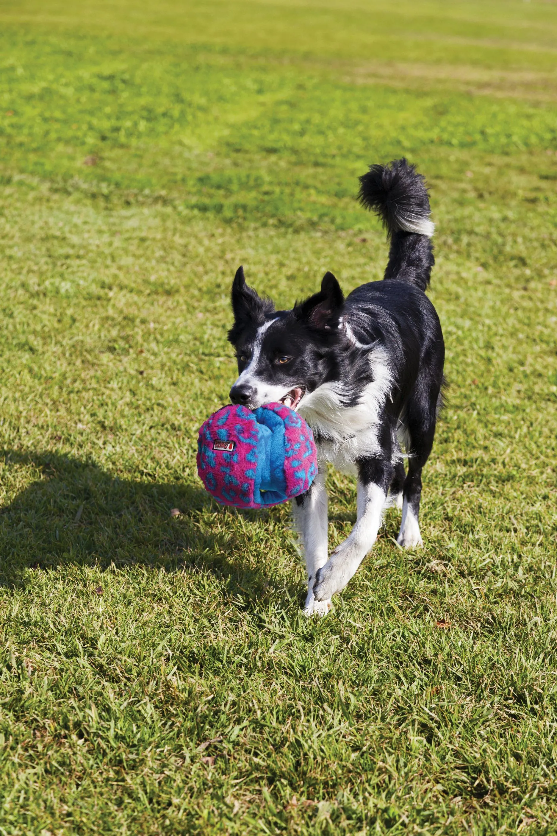 KONG Funzler Dog Toy Purple/Orange