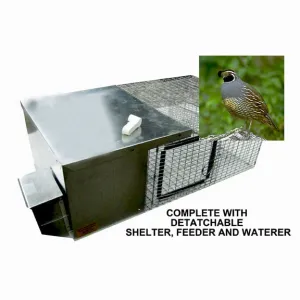 Lion Country Supply Better Quail Condo