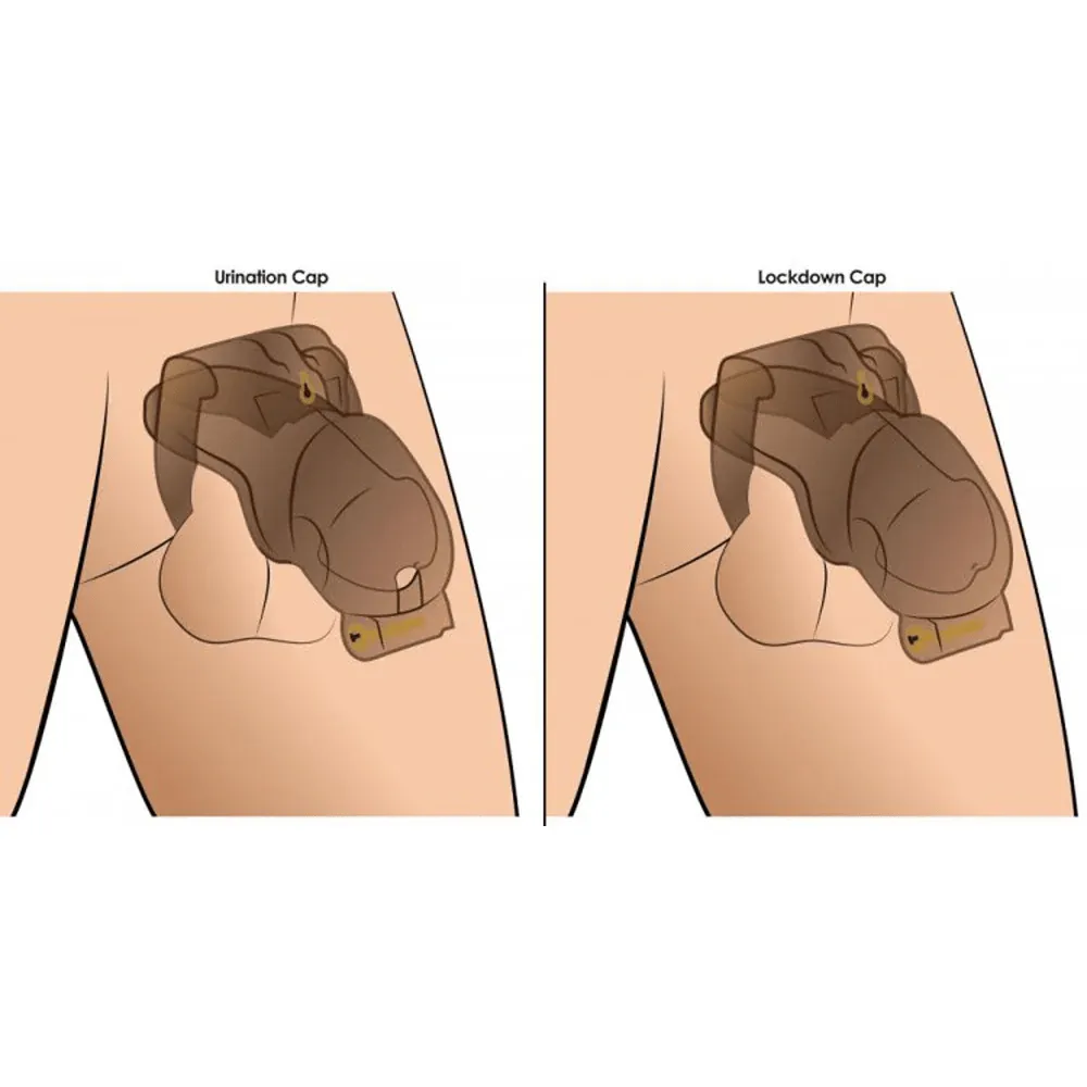 Master Series Double Lockdown Locking Customizable Chastity Cage