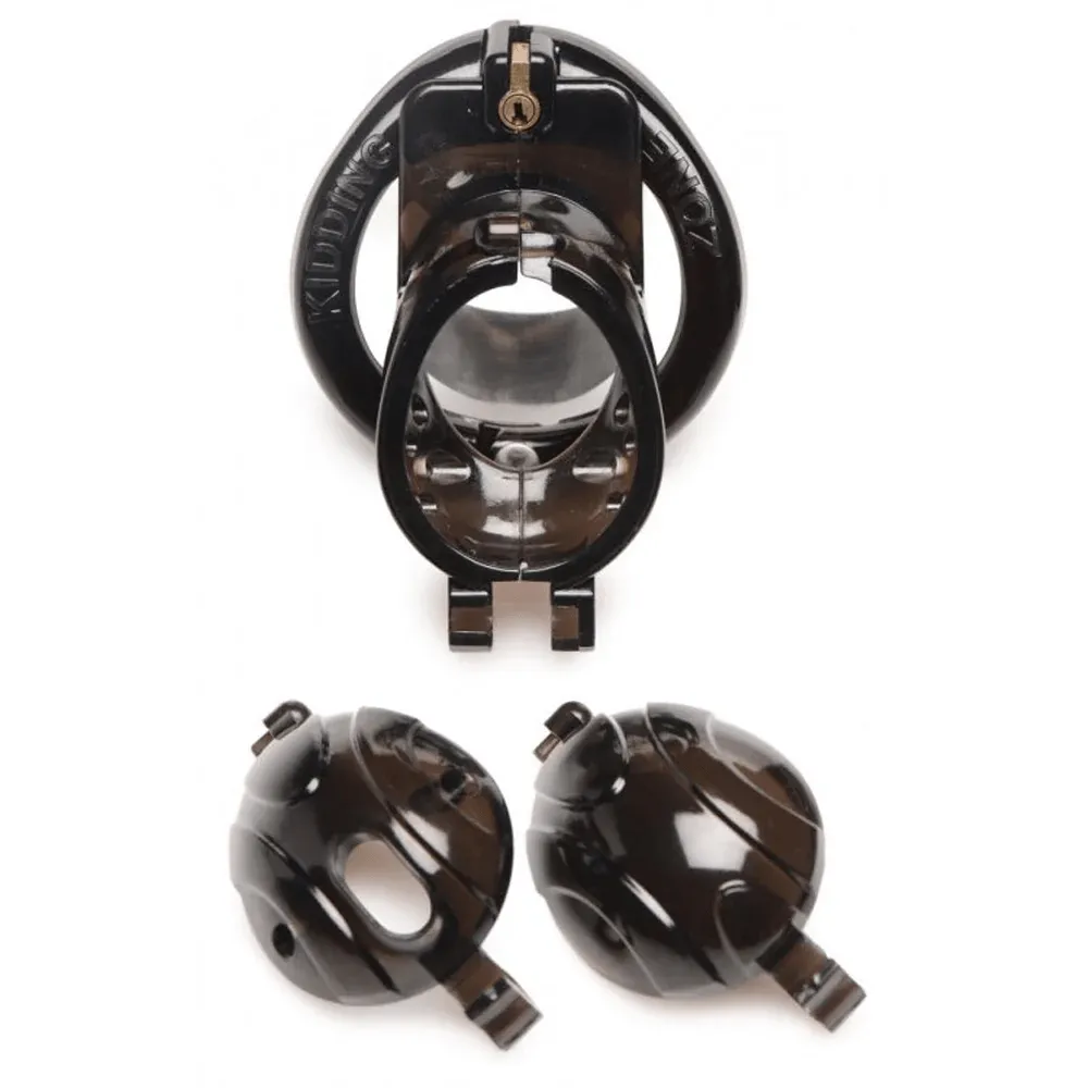 Master Series Double Lockdown Locking Customizable Chastity Cage