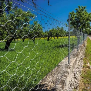 Smart Garden Galvanised Hexagonal Wire Netting 25mm 0.5x10m