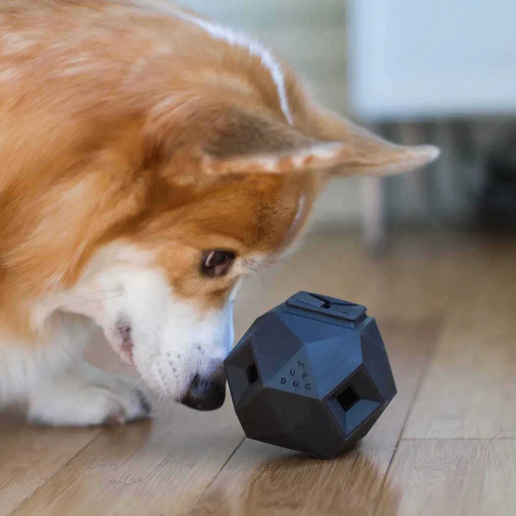 The Odin Dog Treat Puzzle Toy