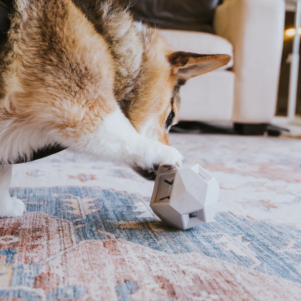 The Odin Dog Treat Puzzle Toy