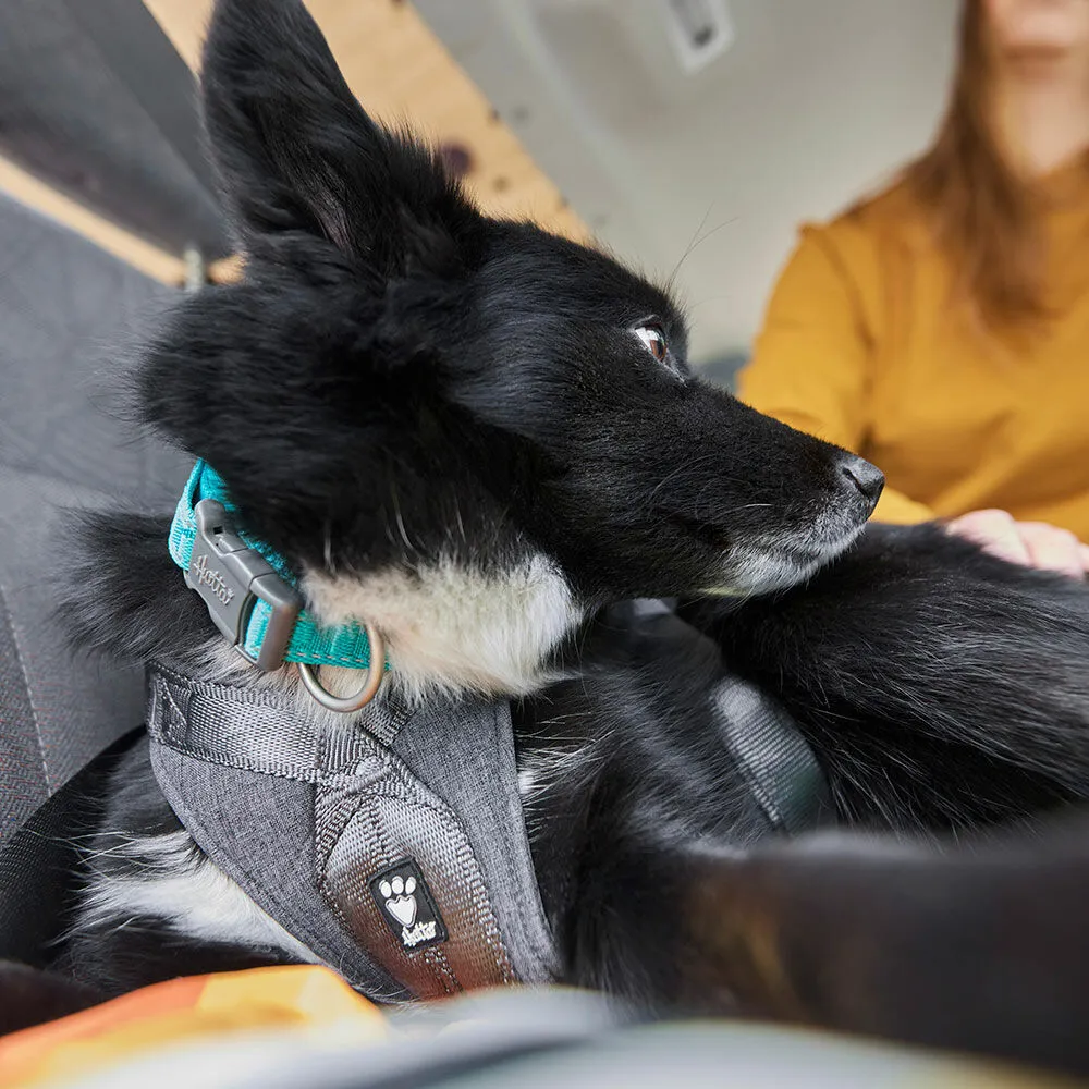 Travel Harness ECO